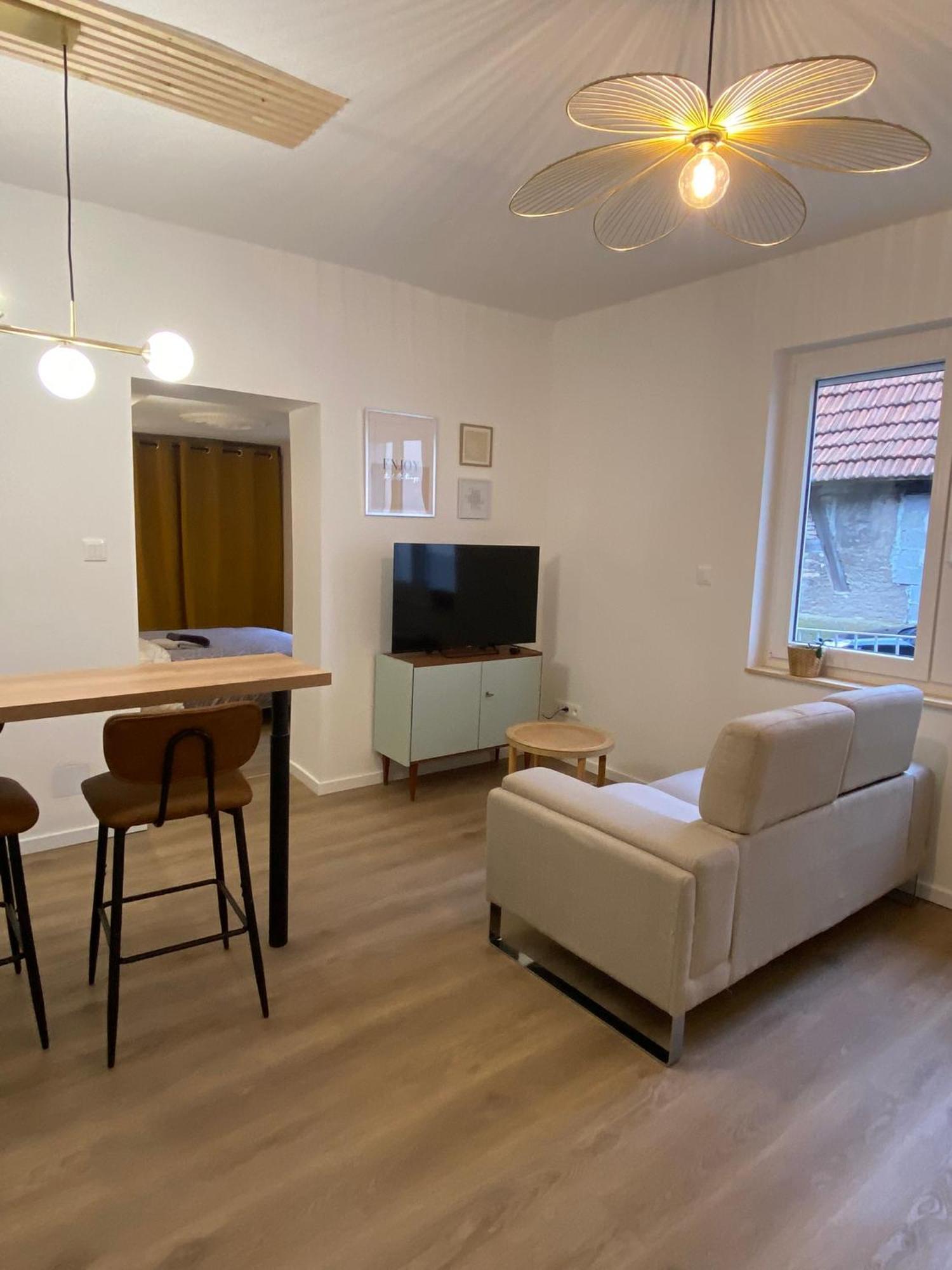 Appartement Cosy Soufflenheim Esterno foto